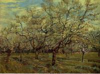 Gogh, Vincent van - Orchard with Blossoming Plum Trees